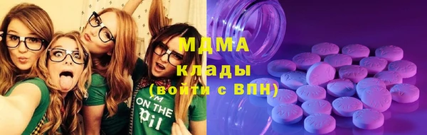 шишки Белоозёрский