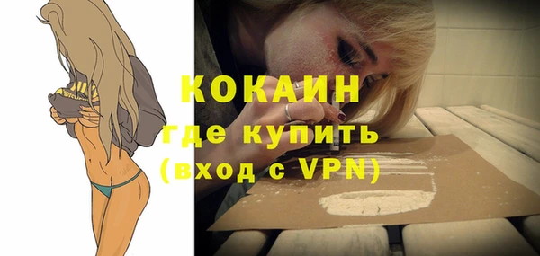шишки Белоозёрский