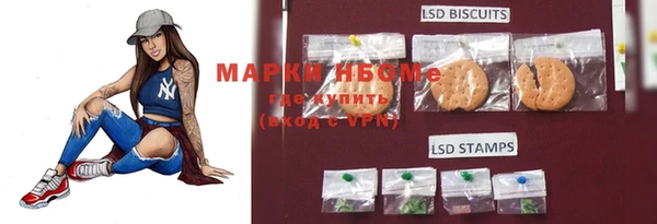 шишки Белоозёрский