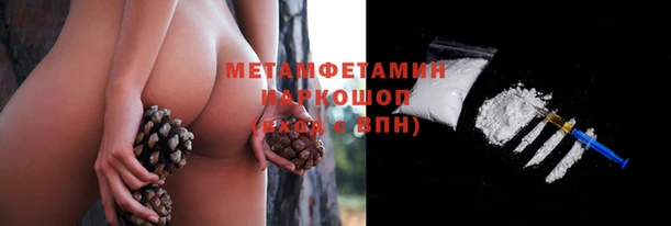 шишки Белоозёрский