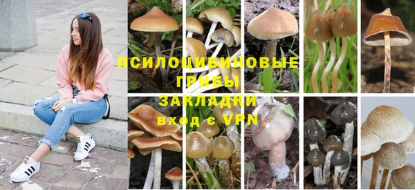 шишки Белоозёрский
