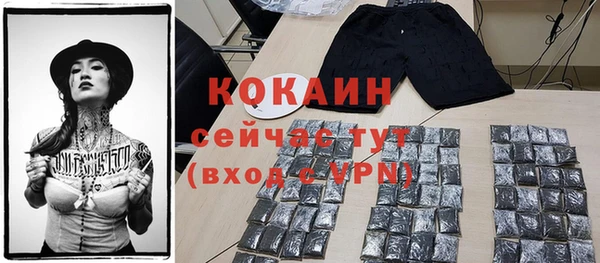 шишки Белоозёрский