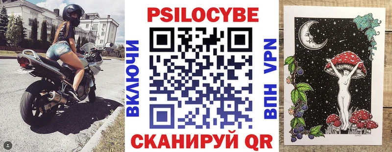 Купить где  Волжск  Псилоцибиновые грибы мицелий 